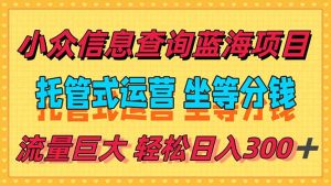 稳定日入300＋，小众信息查询蓝海项目，全程懒人式托管，解放你的时间-小海哥资源站