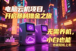 电脑云机项目 暴力撸金玩法，不需要养机 配置没有要求 单机100个窗口-小海哥资源站