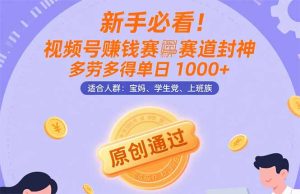 新手必看！视频号赚钱赛道封神，多劳多得单日 1000+，傻瓜操作秒过原创-小海哥资源站